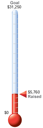 Fundraising Thermometer